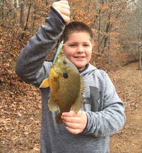 2017_Feb.3_Bam with Blue Gill